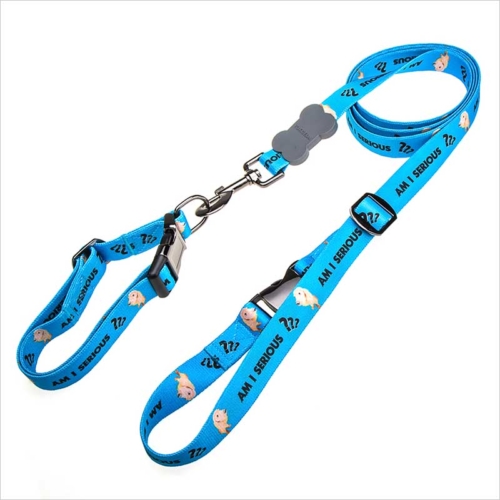 designer dog collars and leashes