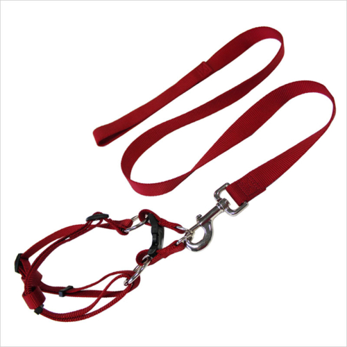 christmas dog collars and leashes