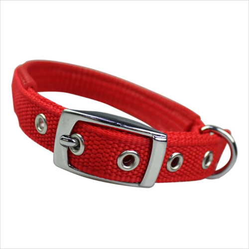 personalized pet collars