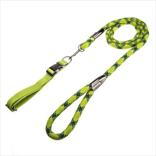 best collar and leash for puppy