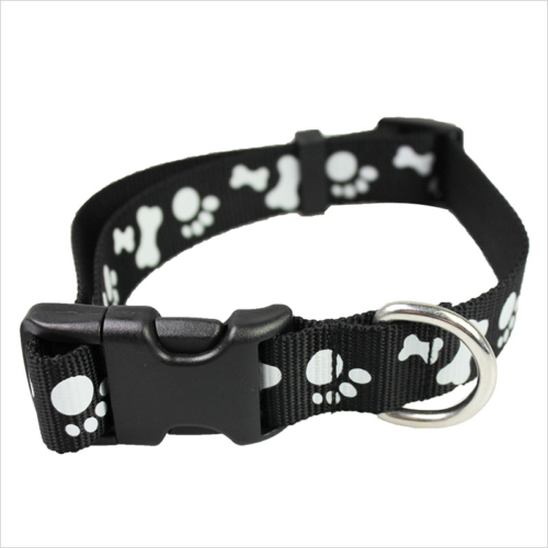 dog collar supplies