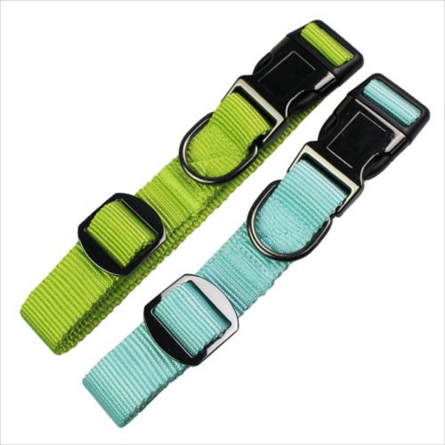 nylon dog collars