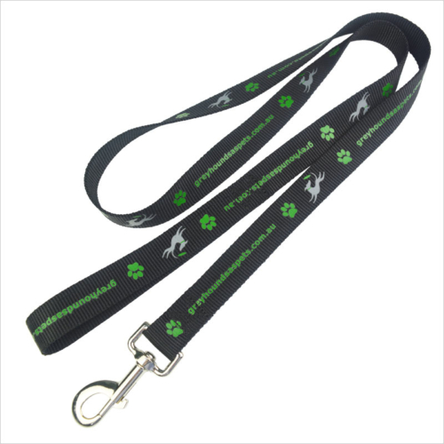 dog walking leash