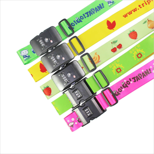 luggage lock strap