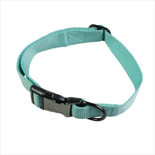 cheap puppy collars