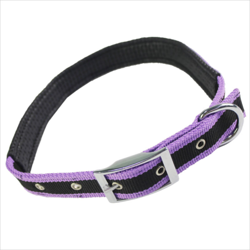 purple dog collars